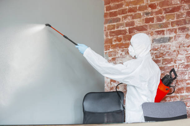 Best Residential Mold Inspection & Testing  in Pickens, SC