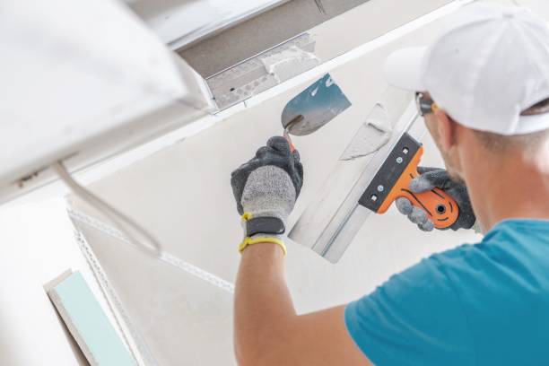 Best Mold Prevention Services  in Pickens, SC